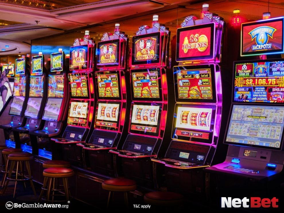 gratidaobet - App Cassino Oficial